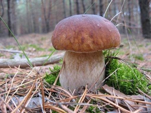 Предложено еще одно доступное средство омоложения