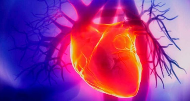 Эксперты определили главный критерий возникновения сердечной недостаточности