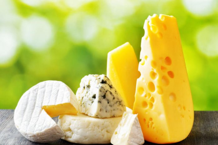 Самые полезные виды сыра