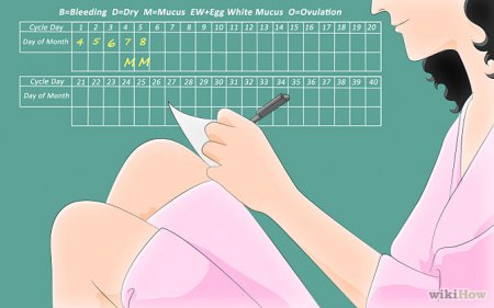 Как зачать девочку календарь овуляции