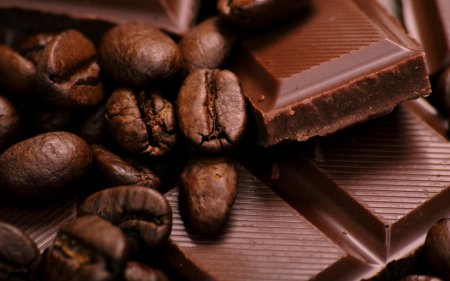 Шоколад: как определить качество и 10 удивительных вкусов