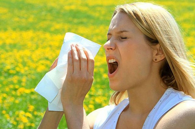Найден эффективный способ защитить людей от аллергии