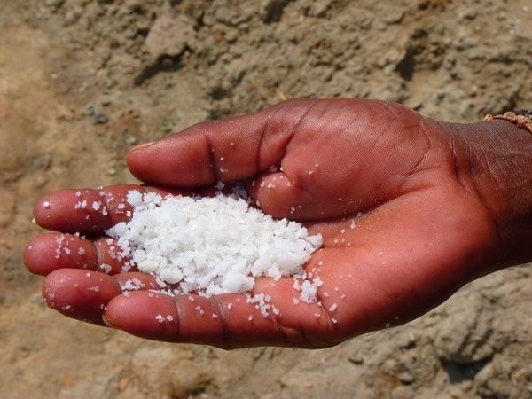 Названа безопасная доза соли для человека