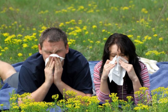 Как бороться с сезонной аллергией?