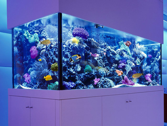 Зачем нужны ультрафиолетовые лампы для аквариумов?